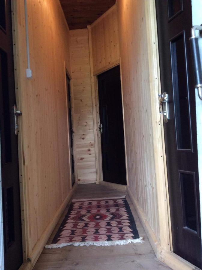 Gunter Guest House Адиши Экстерьер фото
